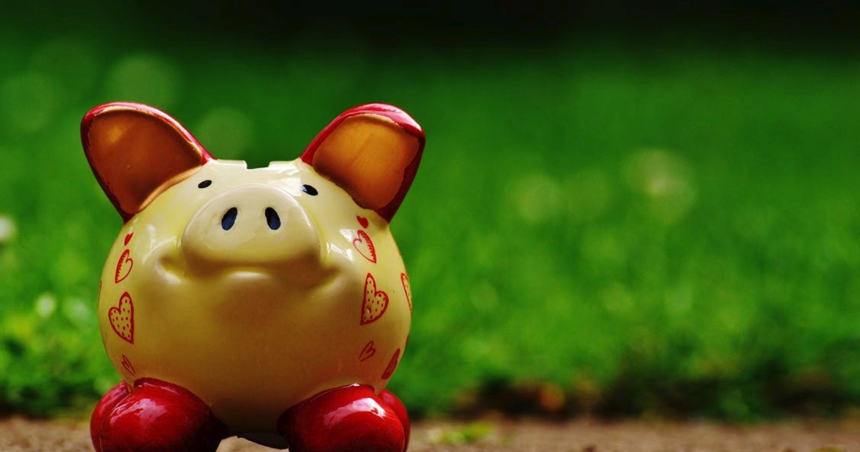 piggy bank